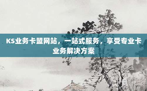 KS业务卡盟网站,一站式服务,享受专业卡业务解决方案