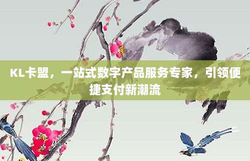 KL卡盟,一站式数字产品服务专家,引领便捷支付新潮流