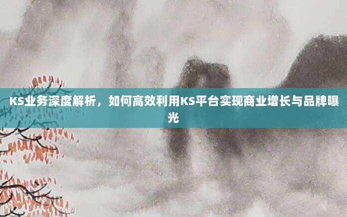 KS业务深度解析,如何高效利用KS平台实现商业增长与品牌曝光