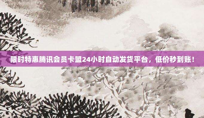 限时特惠腾讯会员卡盟24小时自动发货平台,低价秒到账!