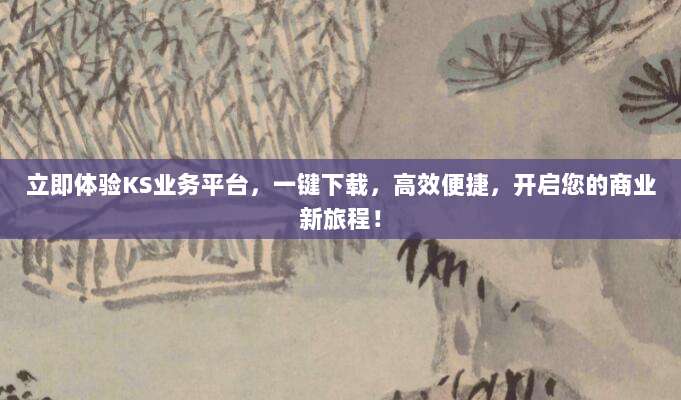 立即体验KS业务平台,一键下载,高效便捷,开启您的商业新旅程!