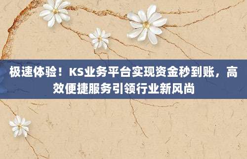 极速体验!KS业务平台实现资金秒到账,高效便捷服务引领行业新风尚