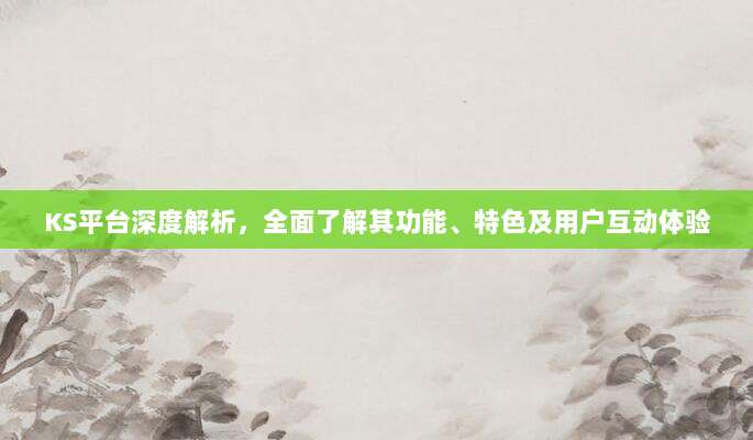 KS平台深度解析,全面了解其功能、特色及用户互动体验