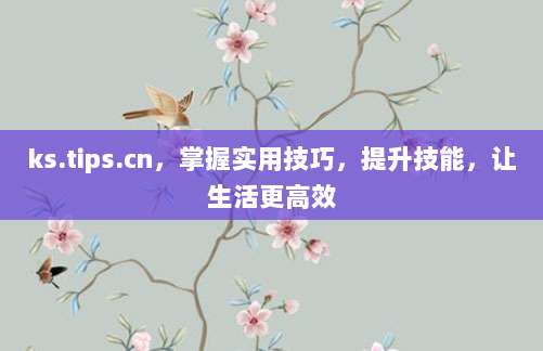 ks.tips.cn,掌握实用技巧,提升技能,让生活更高效