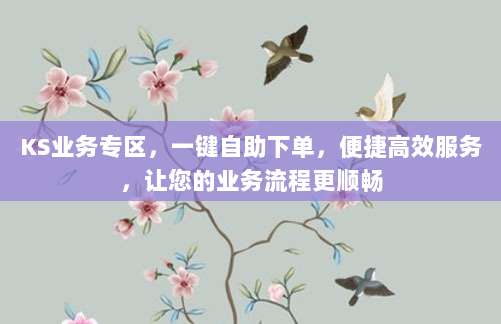 KS业务专区,一键自助下单,便捷高效服务,让您的业务流程更顺畅