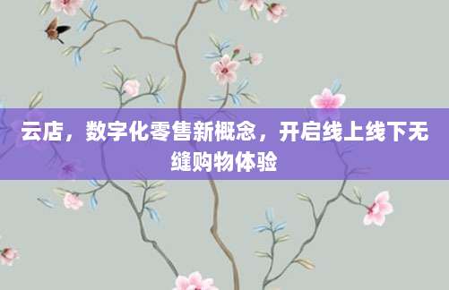 云店,数字化零售新概念,开启线上线下无缝购物体验