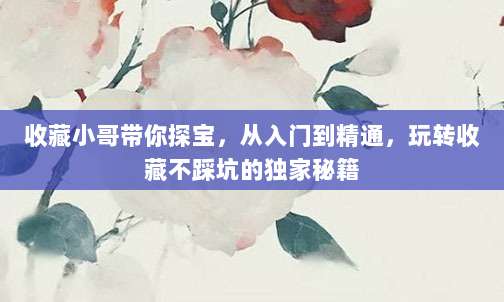 收藏小哥带你探宝,从入门到精通,玩转收藏不踩坑的独家秘籍