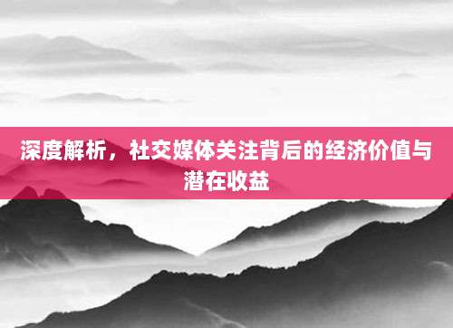 深度解析,社交媒体关注背后的经济价值与潜在收益