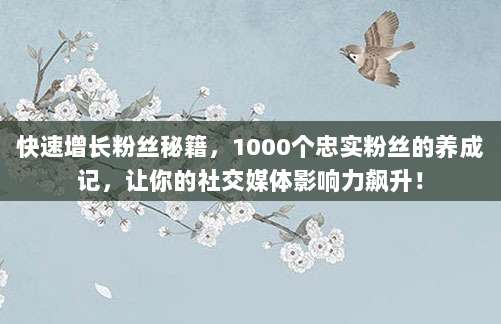 快速增长粉丝秘籍,1000个忠实粉丝的养成记,让你的社交媒体影响力飙升!