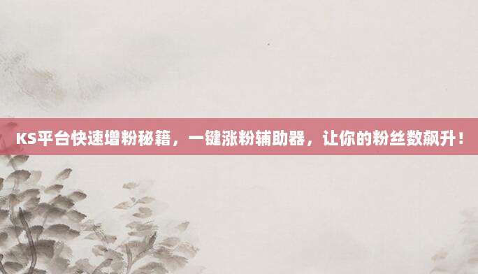 KS平台快速增粉秘籍,一键涨粉辅助器,让你的粉丝数飙升!
