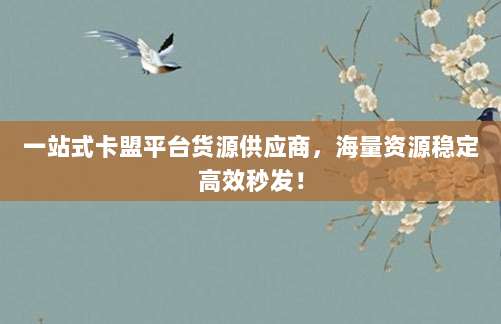 一站式卡盟平台货源供应商,海量资源稳定高效秒发!