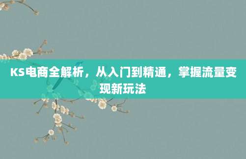 KS电商全解析,从入门到精通,掌握流量变现新玩法