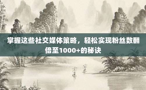 掌握这些社交媒体策略,轻松实现粉丝数翻倍至1000+的秘诀