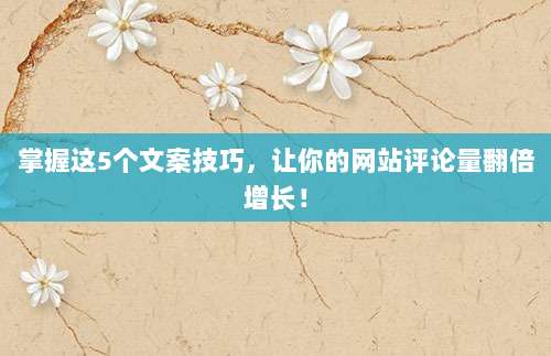 掌握这5个文案技巧,让你的网站评论量翻倍增长!