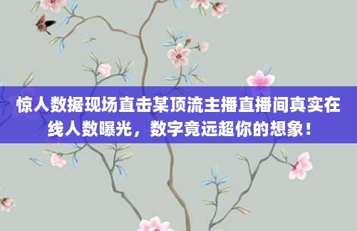 惊人数据现场直击某顶流主播直播间真实在线人数曝光,数字竟远超你的想象!