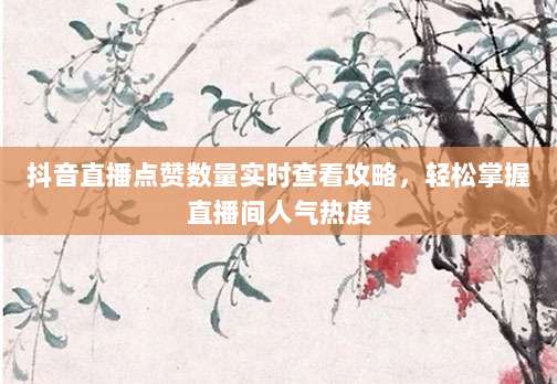 抖音直播点赞数量实时查看攻略,轻松掌握直播间人气热度
