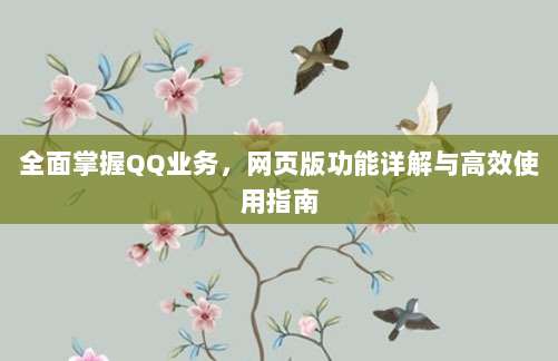 全面掌握QQ业务,网页版功能详解与高效使用指南