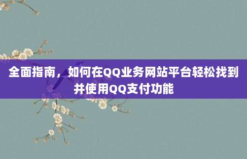 全面指南,如何在QQ业务网站平台轻松找到并使用QQ支付功能
