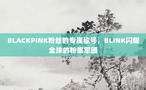 BLACKPINK粉丝的专属称号,BLINK闪耀全球的粉墨军团