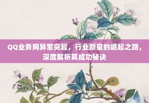 QQ业务网异军突起,行业新星的崛起之路,深度解析其成功秘诀