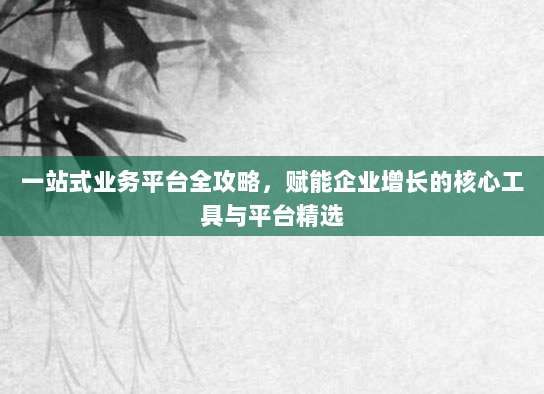 一站式业务平台全攻略,赋能企业增长的核心工具与平台精选
