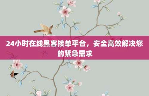 24小时在线黑客接单平台,安全高效解决您的紧急需求