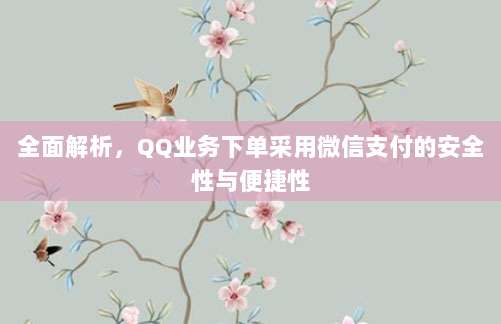 全面解析,QQ业务下单采用微信支付的安全性与便捷性