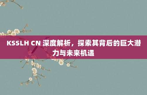 KSSLH CN 深度解析,探索其背后的巨大潜力与未来机遇