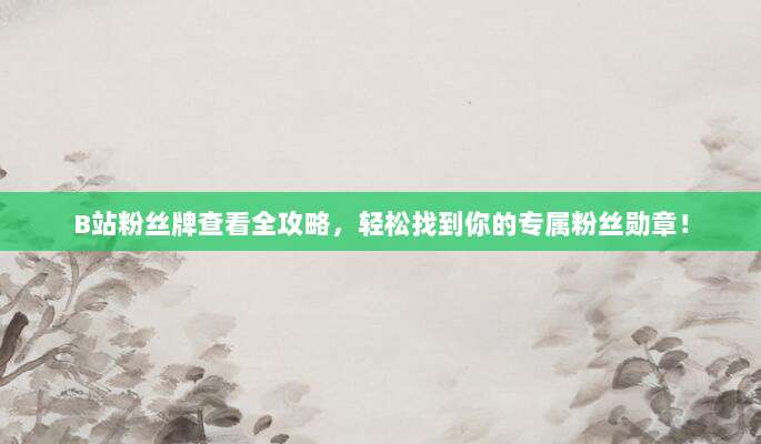 B站粉丝牌查看全攻略,轻松找到你的专属粉丝勋章!