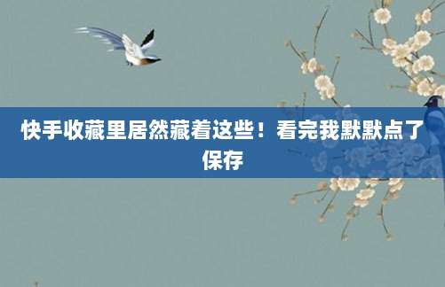 快手收藏里居然藏着这些!看完我默默点了保存