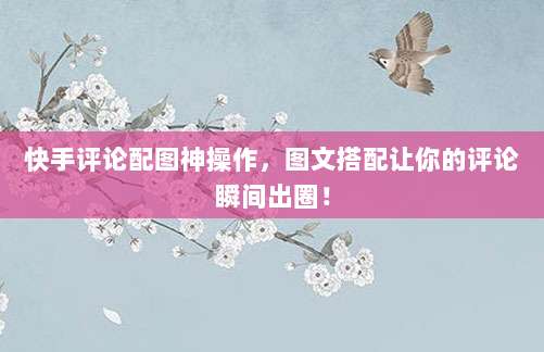 快手评论配图神操作,图文搭配让你的评论瞬间出圈!