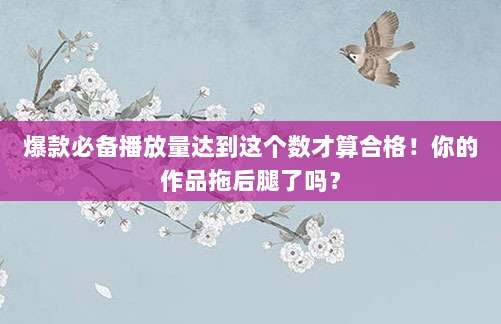爆款必备播放量达到这个数才算合格!你的作品拖后腿了吗?
