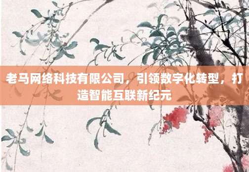 老马网络科技有限公司,引领数字化转型,打造智能互联新纪元