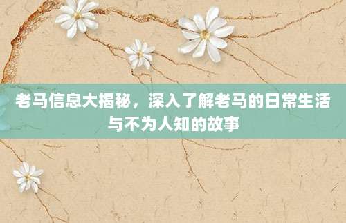 老马信息大揭秘,深入了解老马的日常生活与不为人知的故事