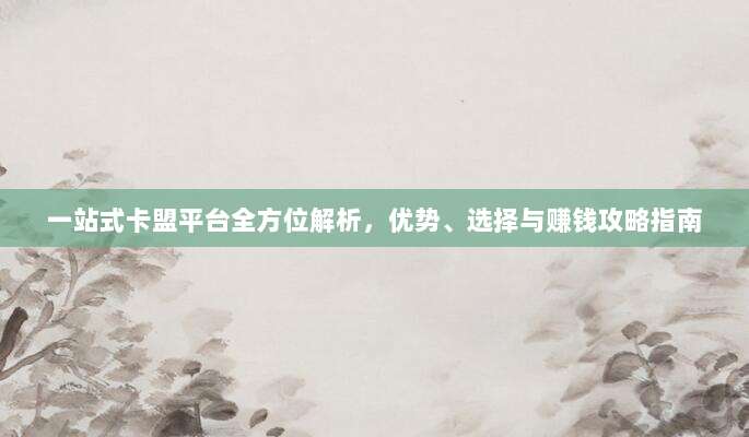 一站式卡盟平台全方位解析,优势、选择与赚钱攻略指南