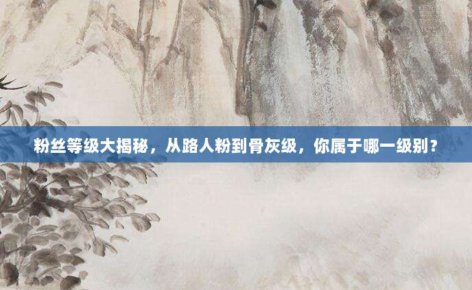粉丝等级大揭秘,从路人粉到骨灰级,你属于哪一级别?