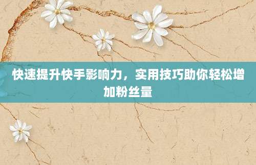 快速提升快手影响力,实用技巧助你轻松增加粉丝量