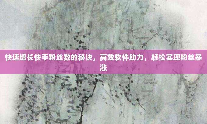 快速增长快手粉丝数的秘诀,高效软件助力,轻松实现粉丝暴涨