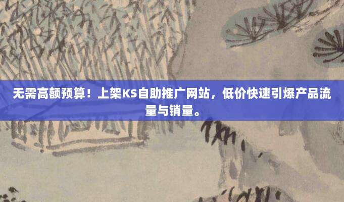 无需高额预算!上架KS自助推广网站,低价快速引爆产品流量与销量。