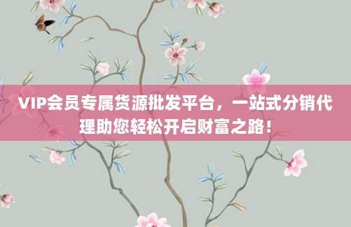 VIP会员专属货源批发平台,一站式分销代理助您轻松开启财富之路!