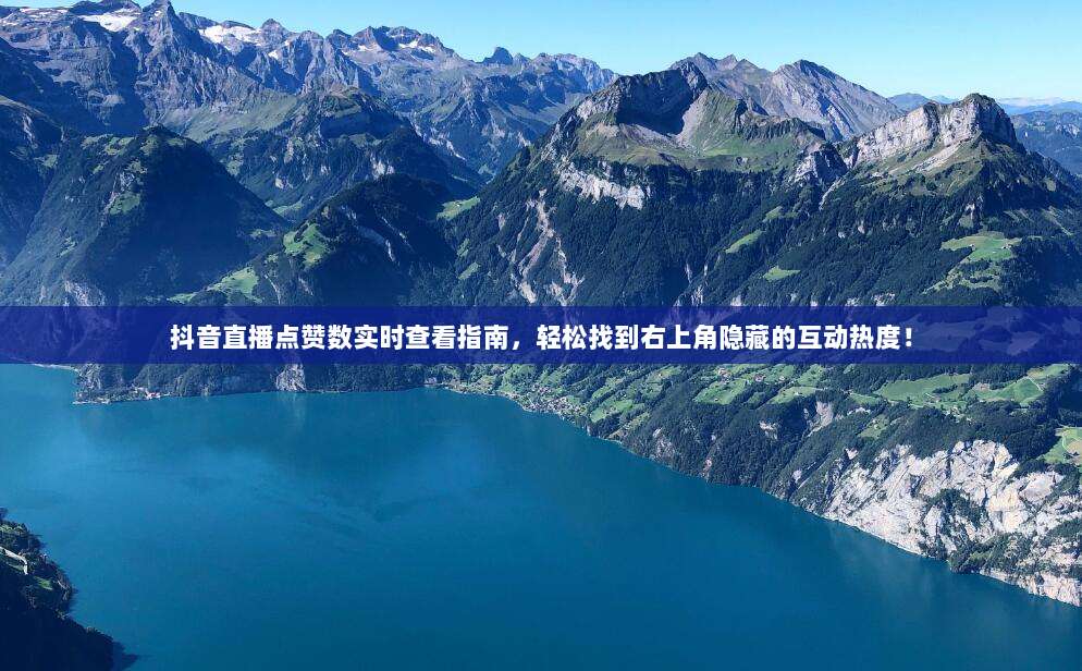 抖音直播点赞数实时查看指南,轻松找到右上角隐藏的互动热度!