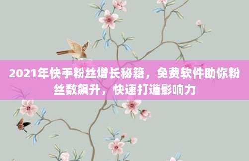 2021年快手粉丝增长秘籍,免费软件助你粉丝数飙升,快速打造影响力