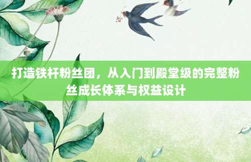 打造铁杆粉丝团,从入门到殿堂级的完整粉丝成长体系与权益设计