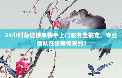 24小时急速接单快手上门服务全搞定,专业团队在线等你来约!