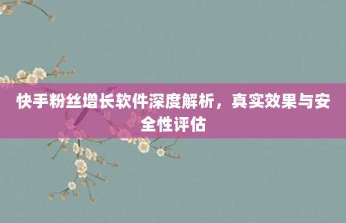 快手粉丝增长软件深度解析,真实效果与安全性评估