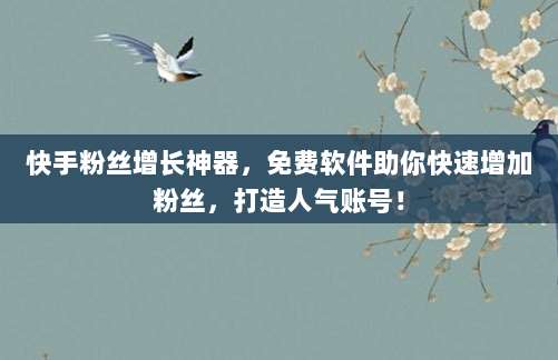 快手粉丝增长神器,免费软件助你快速增加粉丝,打造人气账号!