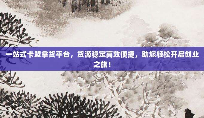 一站式卡盟拿货平台,货源稳定高效便捷,助您轻松开启创业之旅!