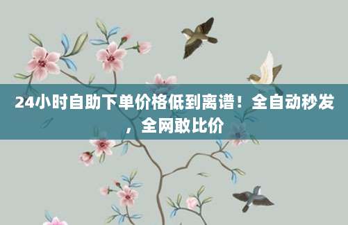 24小时自助下单价格低到离谱!全自动秒发,全网敢比价