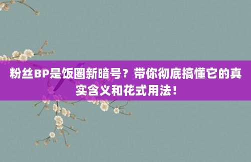 粉丝BP是饭圈新暗号?带你彻底搞懂它的真实含义和花式用法!
