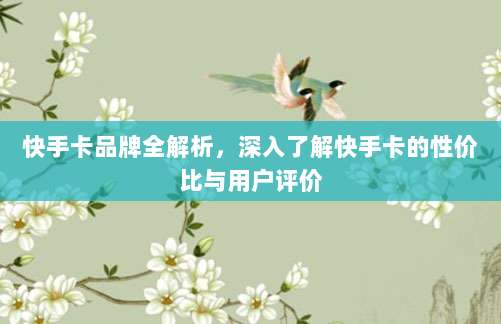 快手卡品牌全解析,深入了解快手卡的性价比与用户评价